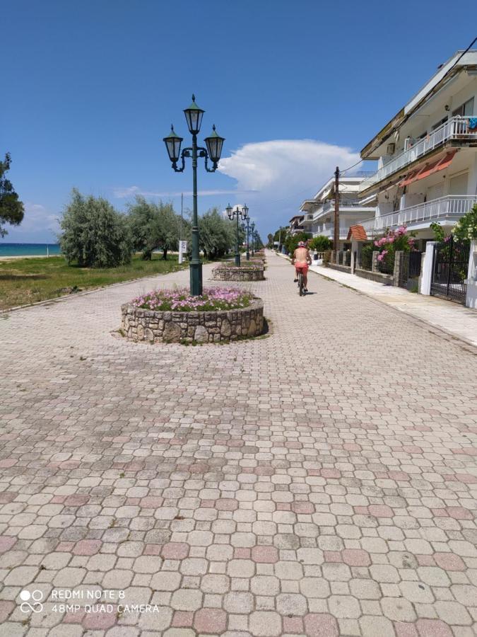 Hause Zorbas Aparthotel ปาลาเรีย ดิโอนิซีอู ภายนอก รูปภาพ