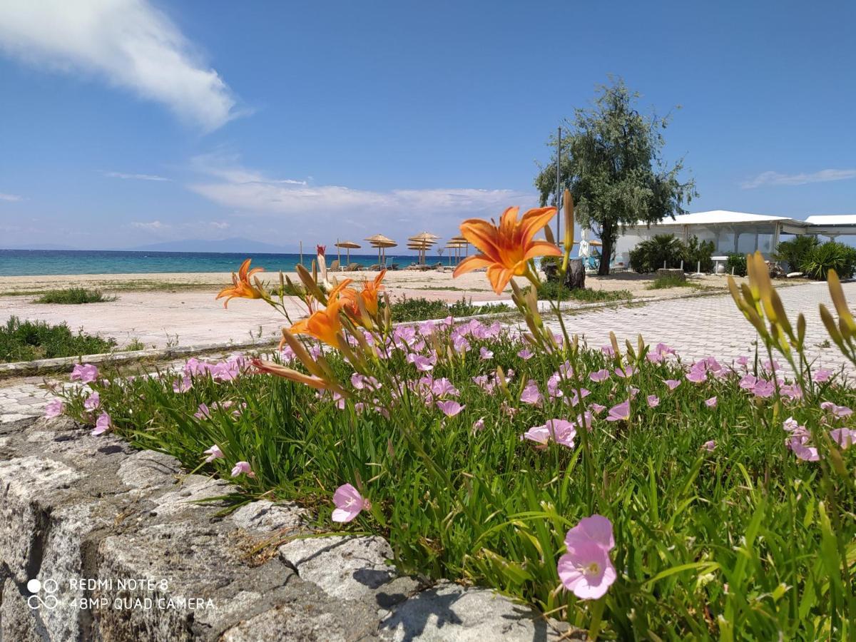 Hause Zorbas Aparthotel ปาลาเรีย ดิโอนิซีอู ภายนอก รูปภาพ