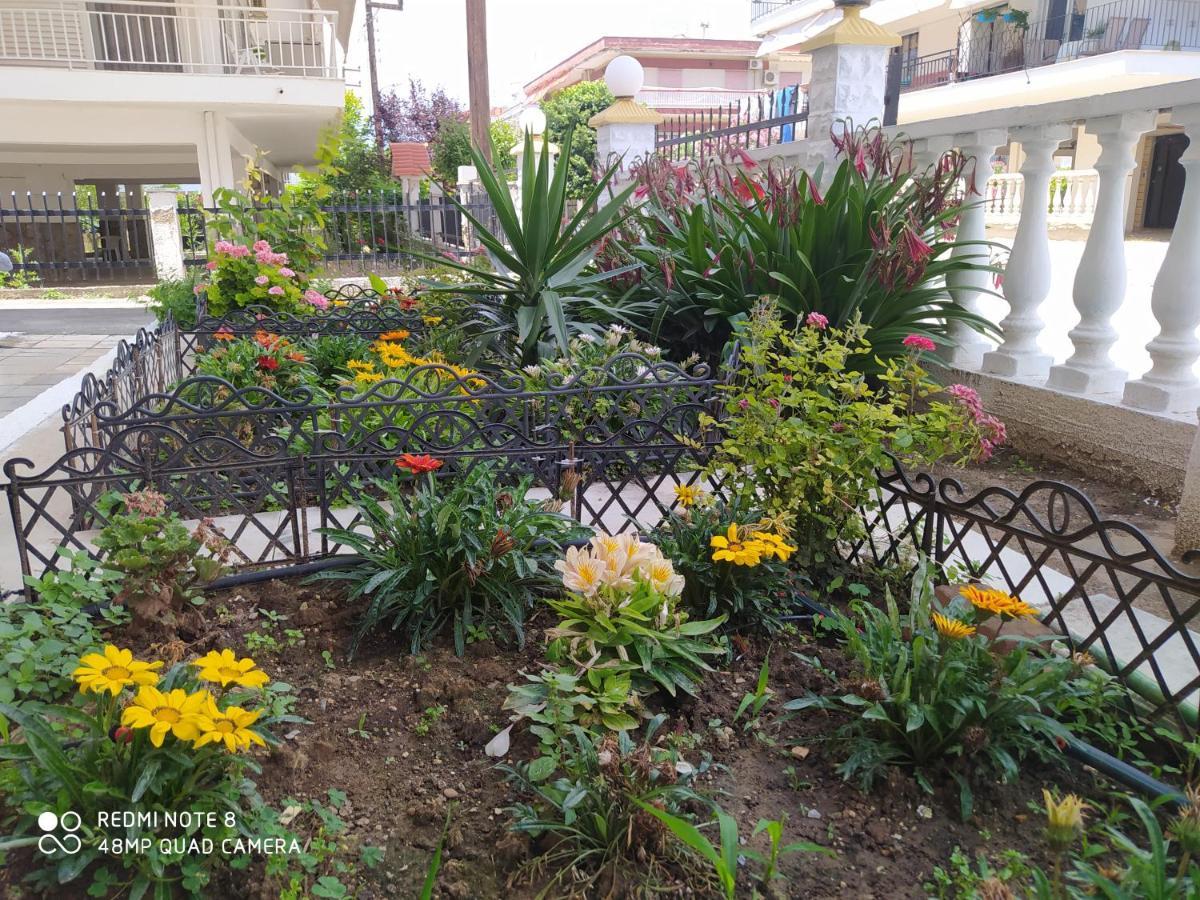 Hause Zorbas Aparthotel ปาลาเรีย ดิโอนิซีอู ภายนอก รูปภาพ